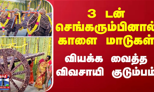 3 டன் செங்கரும்பினால் காளை மாடுகள் - வியக்க வைத்த விவசாயி குடும்பம்