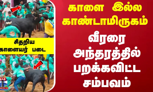 காளை இல்ல காண்டாமிருகம்... வீரரை அந்தரத்தில் பறக்கவிட்ட சம்பவம்... சிதறிய காளையர் படை