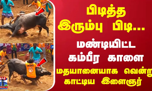 பிடித்த இரும்பு பிடி... மண்டியிட்ட கம்பீர காளை... மதயானையாக வென்று காட்டிய இளைஞர்
