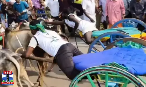 ஓட்டுநர் இல்லாமல் 1 கி.மீ தூரம் ஓடிய ரேக்ளா வண்டி மாடுகள்