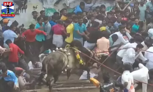 எருதாட்டம் - காளைகள் முட்டி 20 பேர் காயம்