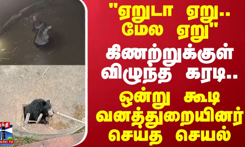 ஏறுடா ஏறு..மேல ஏறு..கிணற்றுக்குள் விழுந்த கரடி..ஒன்று கூடி வனத்துறையினர் செய்த செயல் | Nilgiris