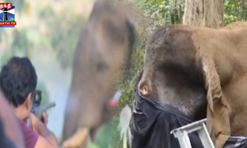 காயம் அடைந்த காட்டு யானைக்கு மயக்க ஊசி செலுத்தி சிகிச்சை