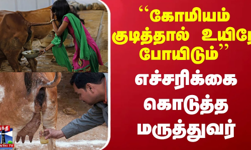 ``கோமியம் குடித்தால் உயிரே போயிடும் - எச்சரிக்கை கொடுத்த மருத்துவர்