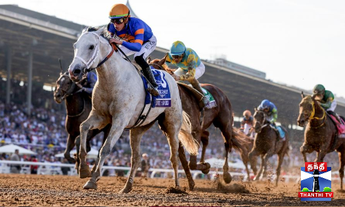 பெகாசஸ் உலகக்கோப்பை - சீறிப்பாய்ந்த குதிரைகள்