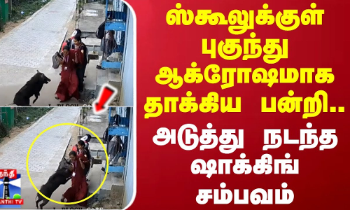 ஸ்கூலுக்குள் புகுந்து ஆக்ரோஷமாக தாக்கிய பன்றி..அடுத்து நடந்த ஷாக்கிங் சம்பவம் | School