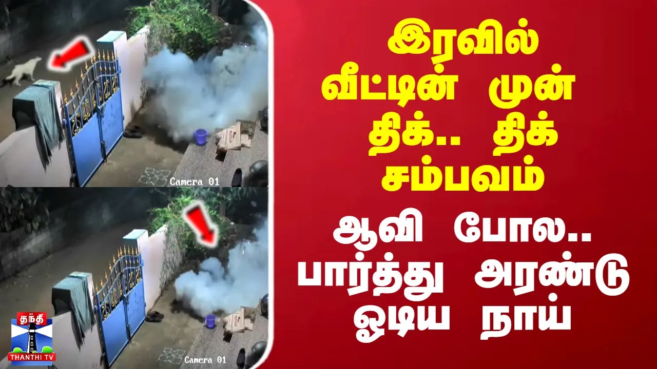 இரவில் வீட்டின் முன் திக்.. திக் சம்பவம் - ஆவி போல.. பார்த்து அரண்டு ஓடிய நாய்
