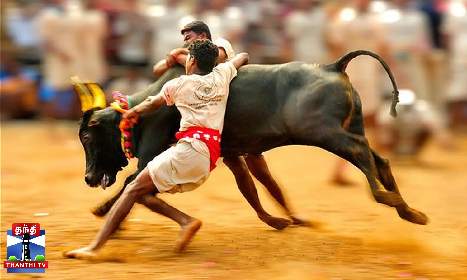 ஜல்லிக்கட்டில் சீறிப்பாய்ந்த காளைகள்