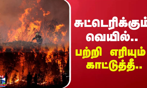 சுட்டெரிக்கும் வெயில்..பற்றி எரியும் காட்டுத்தீ.. மக்களுக்கு வெளியான அட்வைஸ்