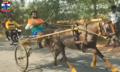 எல்கை போட்டியில் சீறிப் பாய்ந்த காளைகள், குதிரைகள்