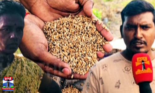 காதல் திருமணம் செய்த மகனை வெறுத்த தாய்...சொந்த நிலத்தில் நெல் பயிரிடுவதற்கு எதிர்ப்பு... காதல் திருமணம் செய்த மகனை வெறுத்த தாய்...சொந்த நிலத்தில் நெல் பயிரிடுவதற்கு எதிர்ப்பு...