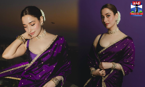 பாரம்பரிய உடையில் ஜொலித்த தமன்னா - ரசிகர்கள் உற்சாகம்