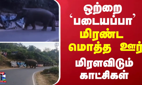 ஒற்றை படையப்பா... மிரண்ட மொத்த ஊர்  - மிரளவிடும் காட்சிகள்