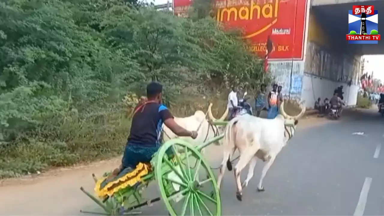 ஹே எப்புட்றா - ஒற்றை சக்கரத்தில் ஓடிய மாட்டு வண்டி