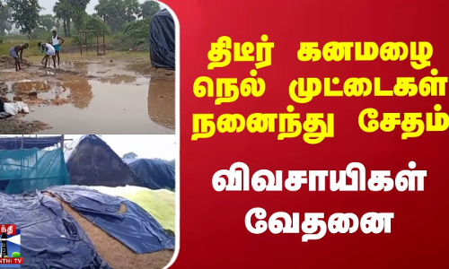 திடீர் கனமழை நெல் முட்டைகள் நனைந்து சேதம் - விவசாயிகள் வேதனை