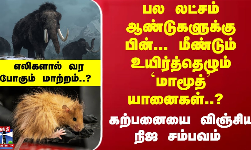 பல லட்சம் ஆண்டுகளுக்கு பின்... மீண்டும் உயிர்த்தெழும் `மாமூத் யானைகள்..? - கற்பனையை விஞ்சிய சம்பவம்