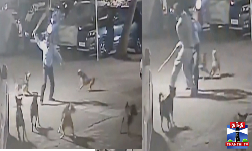 கடிக்க வந்த நாய்களை தடுத்த‌ செக்யூரிட்டி மீது தாக்குதல்
