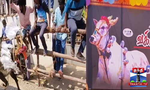 எருது விடும் திருவிழா - சீறிப்பாய்ந்த காளைகள்