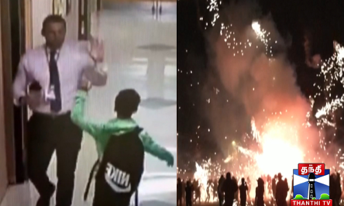 ஆமைகிட்ட மீன் சிக்கியதா? தப்பியதா? - செம வைரல் வீடியோ