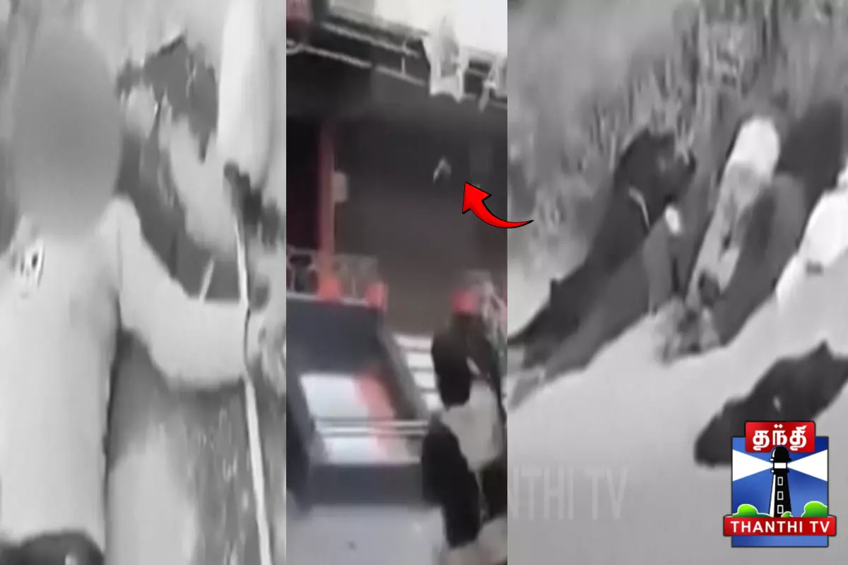 வீதியில் சிதறிக் கிடக்கும் சடலங்கள் - பதைபதைக்க வைக்கும் காட்சி  .