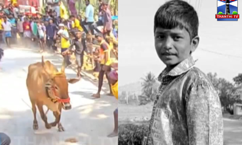 காளையின் கயிற்றில் சிக்கி படுகாயமடைந்த சிறுவன் உயிரிழப்பு