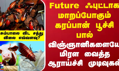 Cockroach Milk | Future ஃபுட்டாக மாறப்போகும் கரப்பான் பூச்சி பால் -  பசும்பாலை விட சத்து - விலை?