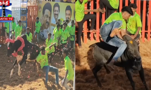 ராசிபுரம் அருகே அனல்பறந்த ஜல்லிக்கட்டு