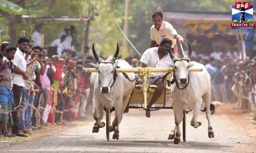 மாட்டு வண்டி, குதிரை வண்டி பந்தயம் - உற்சாகம்