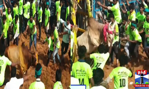 ஜல்லிக்கட்டு போட்டி கோலாகலம்