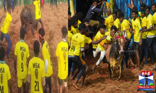 கோயில் திருவிழா- ஜல்லிக்கட்டு போட்டி விறுவிறுப்பு