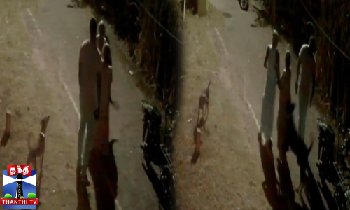 நாயை ஏவி வயதான தம்பதியை கடிக்க வைத்த கொடூரம் நாயை ஏவி வயதான தம்பதியை கடிக்க வைத்த கொடூரம்