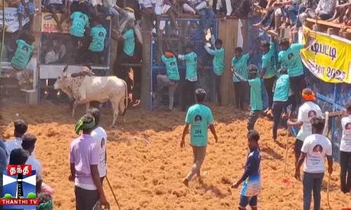 நடிகர் விகரம் கலந்து கொண்ட ஜல்லிக்கட்டில் தகராறு...  ஜல்லிக்கட்டில் மாடு பிடிப்பதில் போட்டி...