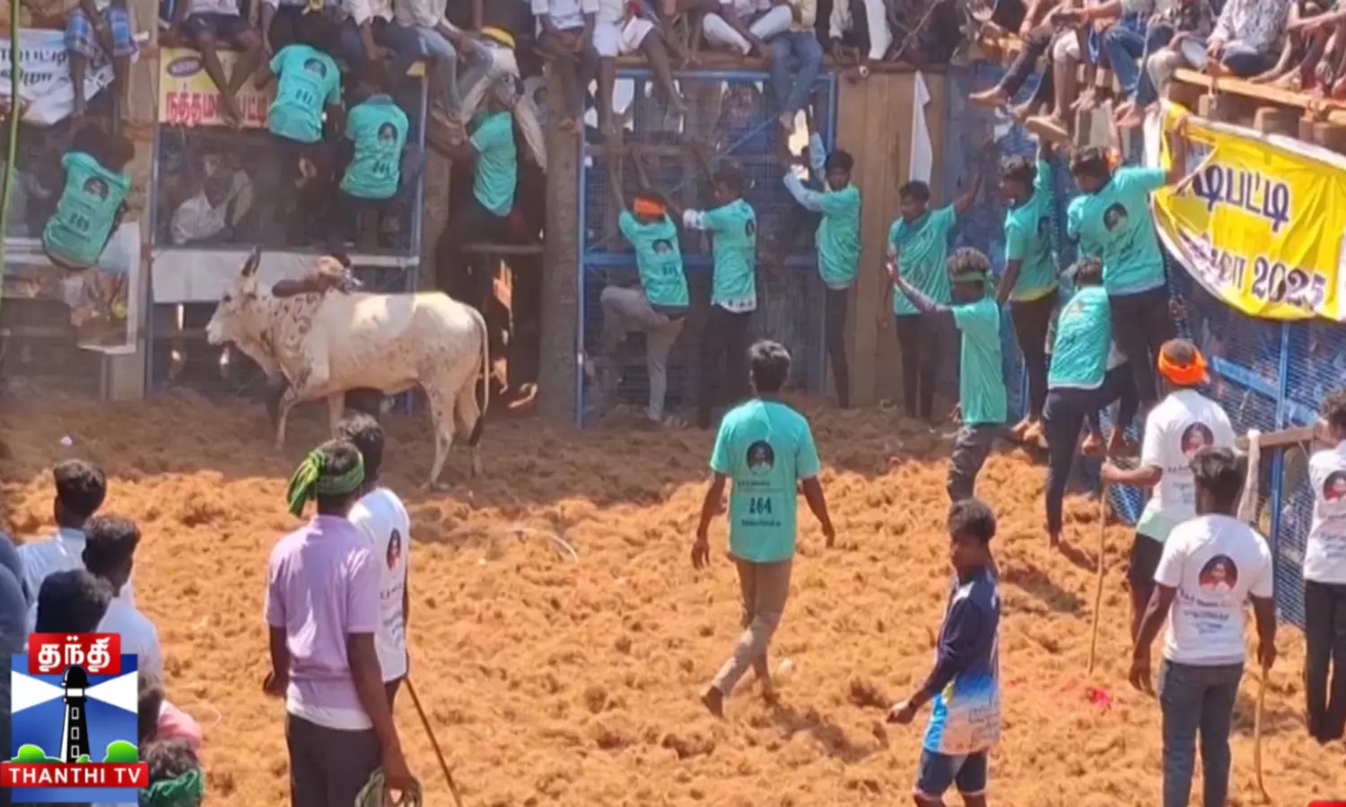 நடிகர் விகரம் கலந்து கொண்ட ஜல்லிக்கட்டில் தகராறு...  ஜல்லிக்கட்டில் மாடு பிடிப்பதில் போட்டி...