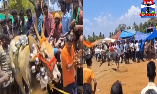 சின்னகுனிச்சி கிராமத்தில் எருதுவிடும் விழா கோலாகலம்