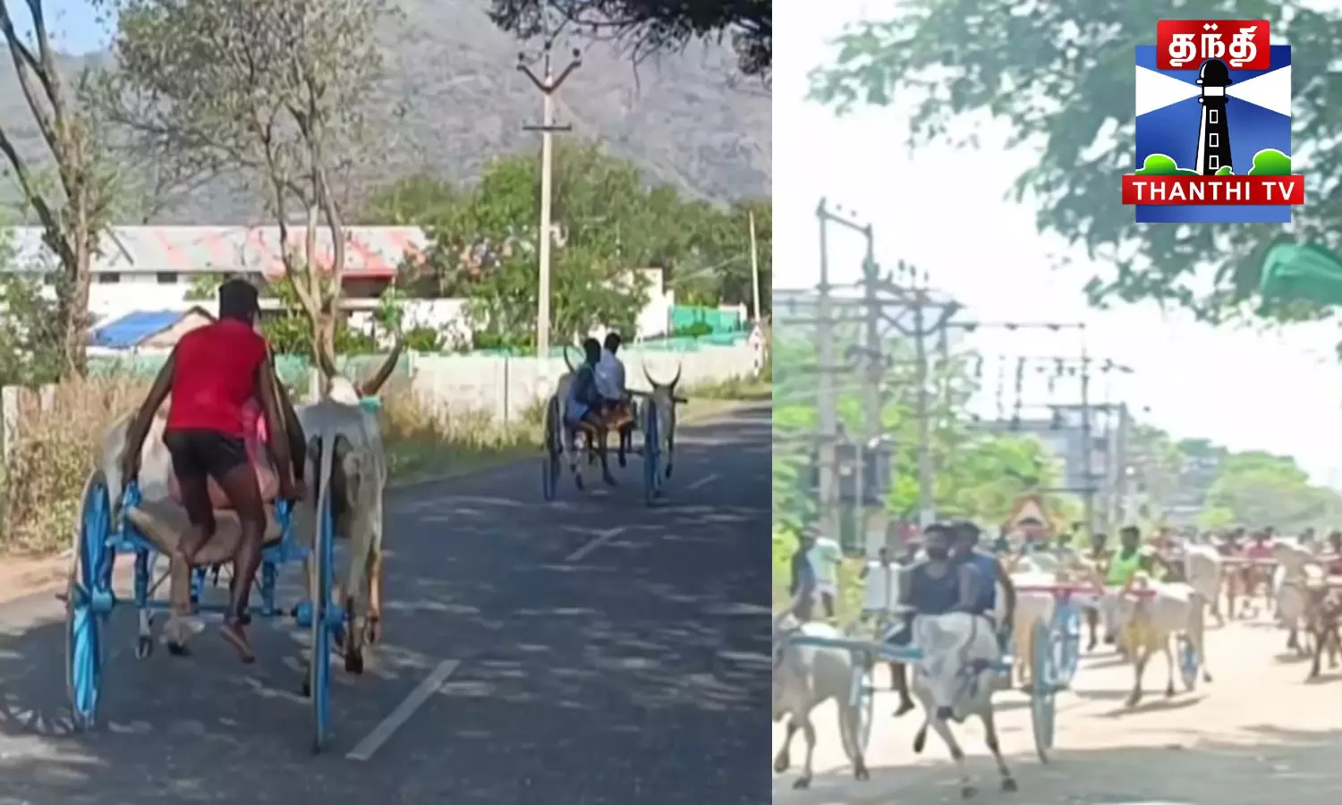 காளியம்மன் கோயில் திருவிழாவையொட்டி இரட்டை மாட்டுவண்டி எல்கை பந்தயம்