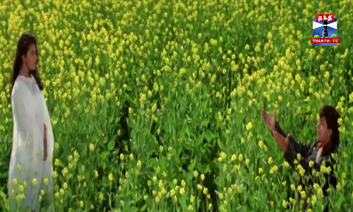 ஷாருக்கான், கஜோலுக்கு லண்டனில் வெண்கல சிலை