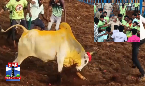 அலங்காநல்லூரில் ஜல்லிக்கட்டு - காவலர் உள்ளிட்ட 34 பேர் காயம்