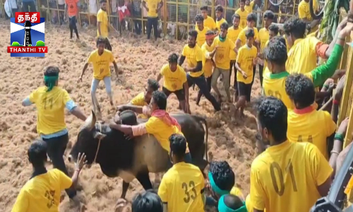 ஜல்லிக்கட்டு - காளை முட்டி பார்வையாளர் பலி