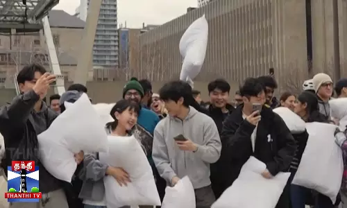 வீதியில் உற்சாகமாக நடைபெற்ற தலையணை சண்டை