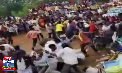 எருதாட்ட விழாவில் ஓடிய ஆடுகள் - கூட்டத்தில் சிரிப்பலை எருதாட்ட விழாவில் ஓடிய ஆடுகள் - கூட்டத்தில் சிரிப்பலை