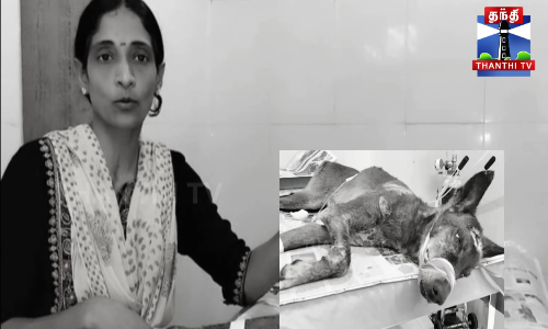 மதிக்க மாட்டியா? - வளர்ப்பு நாயை வெட்டிய உரிமையாளர்