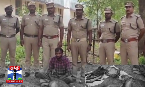 மான் வேட்டையாடிய ஒருவர் கைது - இறைச்சி பறிமுதல் மான் வேட்டையாடிய ஒருவர் கைது - இறைச்சி பறிமுதல்