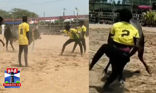 வீரர்களின் பிடியில் சிக்காமல் திக்குமுக்காடச் செய்த காளைகள்