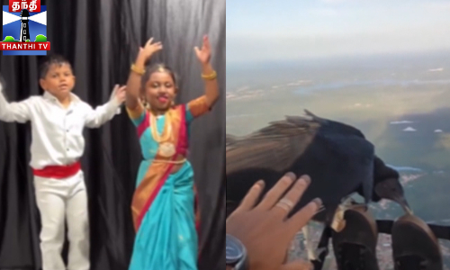 இணையத்தில் கவனம் ஈர்த்த வீடியோ - அள்ளும் லைக்ஸ்