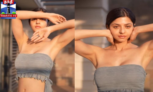 ரீல்ஸ் பகிர்ந்த வேதிகா - குவியும் லைக்ஸ்