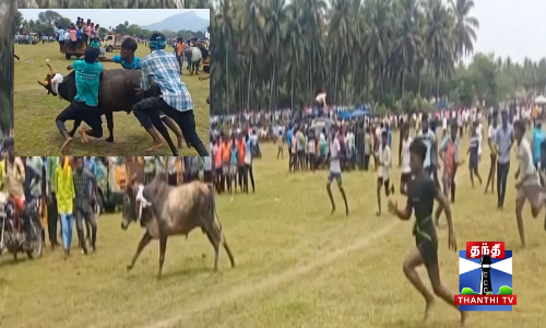 அனுமதியின்றி நடந்த மஞ்சுவிரட்டு போட்டி