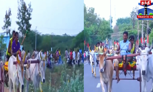 முதல்வர் பிறந்தநாளை முன்னிட்டு மாட்டு வண்டி எல்லை பந்தயம்