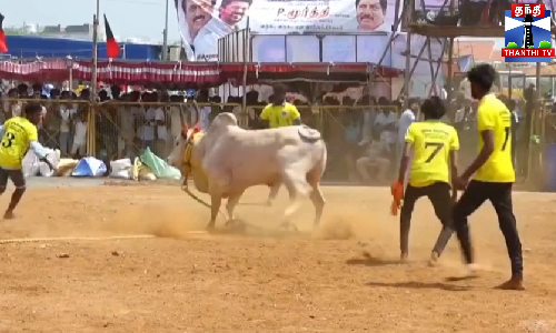 கோலாகலமாக நடைபெற்ற வடமாடு மஞ்சுவிரட்டு போட்டி