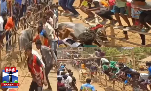 எருது விடும் விழாவில் சீறிப்பாய்ந்த காளைகள்