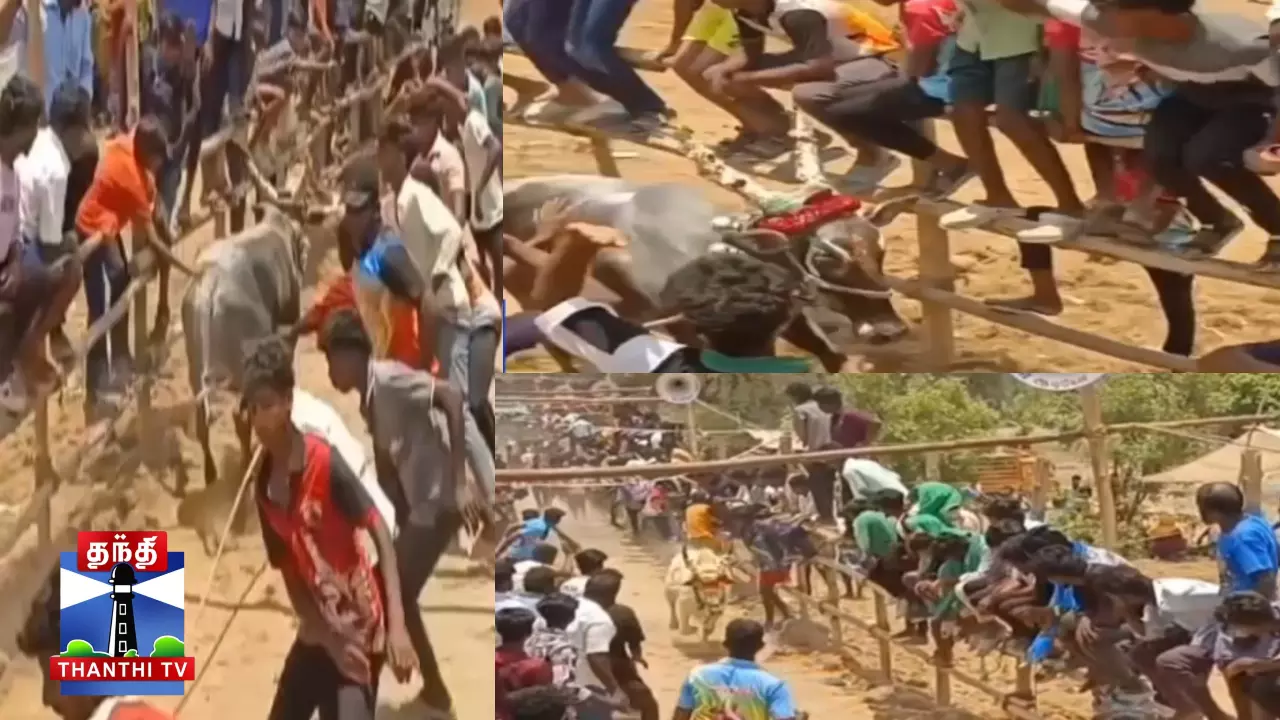 எருது விடும் விழாவில் சீறிப்பாய்ந்த காளைகள்